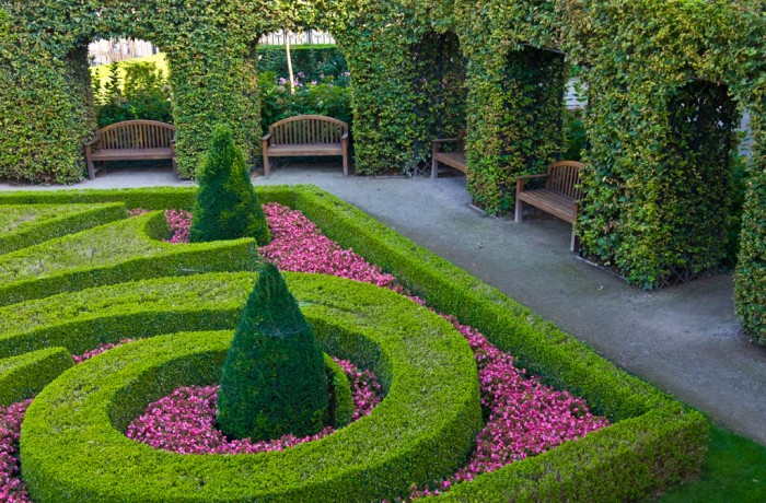 Sed blandit massa vel